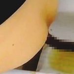 【閲覧注意】デパート内を澄まし顔で歩いてたのにトイレに入るなりお漏らしＯＢしてる淑女♪