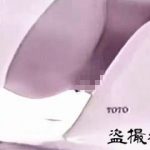 【盗撮動画】女子校の女子トイレで女子校生のオシッコ姿を撮りまくる秘密の花園の侵入者♪